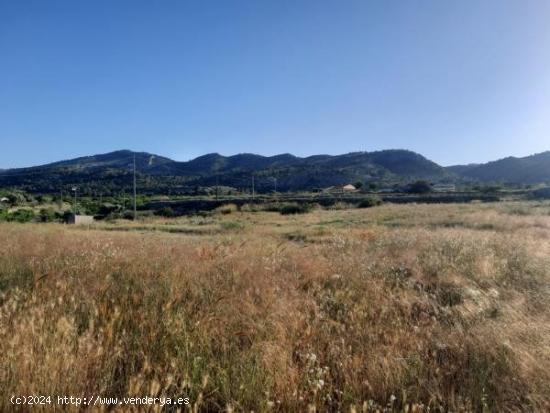 Parcela de terreno en la alquebla - ALICANTE