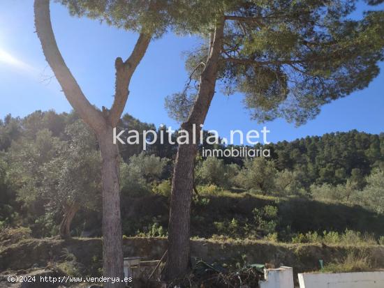 TERRENO CON CASITA AGRICOLA EN SIERRA MARIOLA - VALENCIA