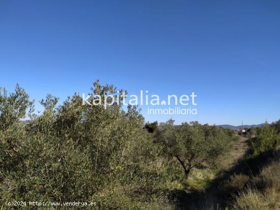 TERRENO CON CASITA AGRICOLA EN SIERRA MARIOLA - VALENCIA