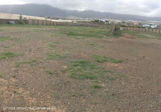 Terreno en Güimar - SANTA CRUZ DE TENERIFE