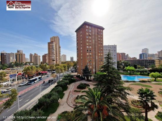  Piso en Benidorm zona Avenida Europa - ALICANTE 