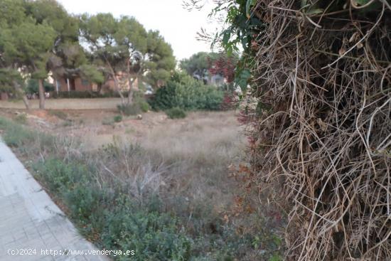 Parcela en la urbanización La Masía - VALENCIA