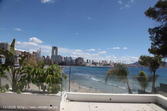 Pisos de lujo en Benidorm en 1ª linea de la Playa de Poniente - ALICANTE