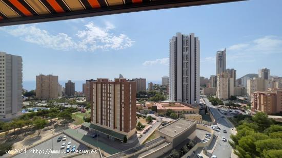 Se Vende en Benidorm - ALICANTE