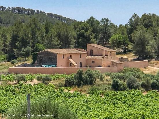 Finca de 67 ha con Masía de 1200 m2 y otra edificación de 600 m2 en Sant Pere de Ribes - BARCELONA