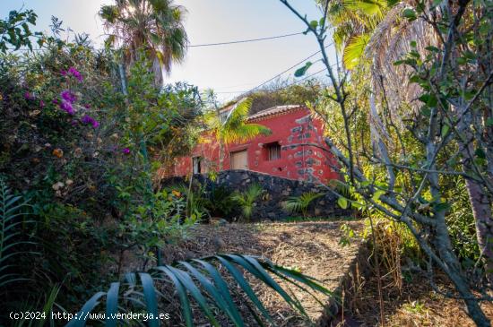 ESPECTACULARES CASITAS  CON 1034 M2 DE TERRENO - SANTA CRUZ DE TENERIFE