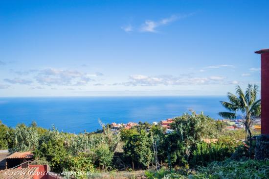 ESPECTACULARES CASITAS  CON 1034 M2 DE TERRENO - SANTA CRUZ DE TENERIFE