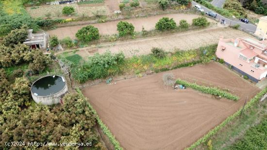 FINCA RUSTICA Y ASENTAMIENTO RURAL - SANTA CRUZ DE TENERIFE