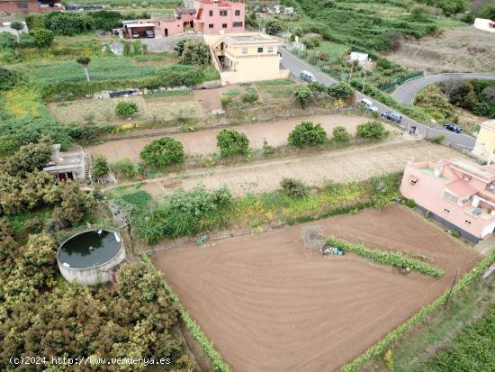 FINCA RUSTICA Y ASENTAMIENTO RURAL - SANTA CRUZ DE TENERIFE