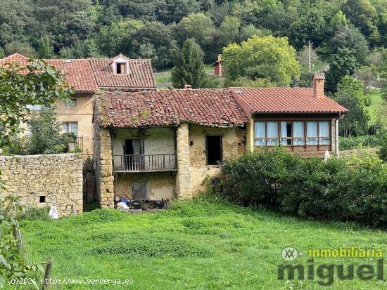  Se vende el conjunto de  dos casas para rehabilitar en Buelles, Peñamellera Baja - ASTURIAS 