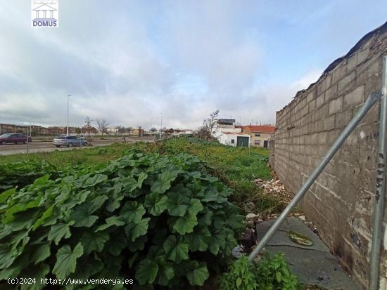  Terreno en la zona de la corchera - BADAJOZ 