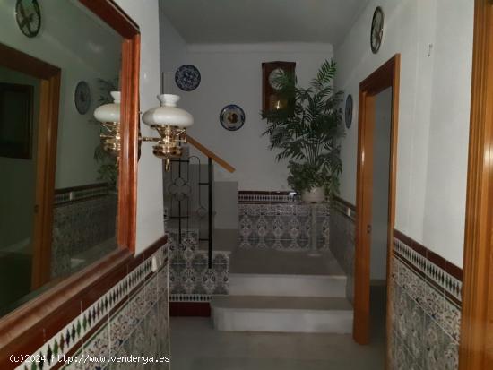 OPORTUNIDAD. CASA FAMILIAR DE CINCO HABITACIONES EN MACAÉL (ALMERIA) - ALMERIA