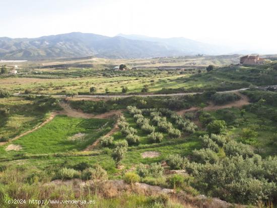 CORTIJO CON TERRENO A REFORMAR EN URRÁCAL,  ALMERÍA - ALMERIA