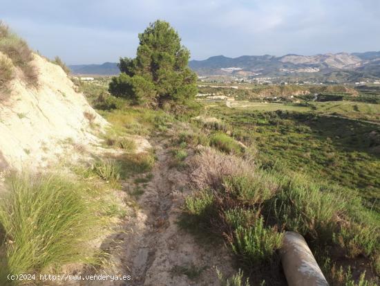 CORTIJO CON TERRENO A REFORMAR EN URRÁCAL,  ALMERÍA - ALMERIA