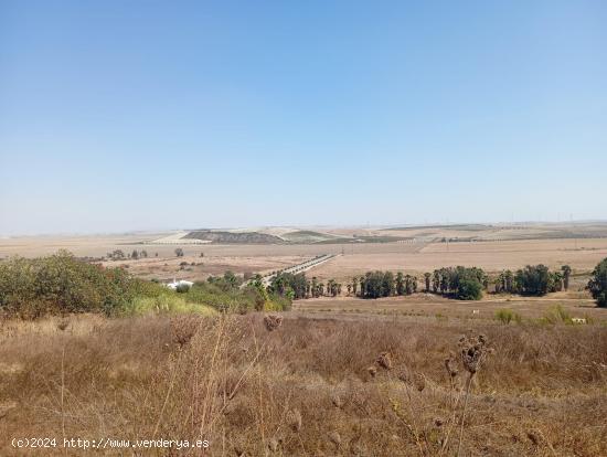  Parcela Urbana en Martín Miguel - CADIZ 