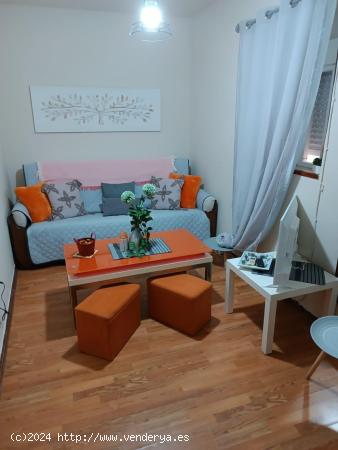 APARTAMENTO EN EL CENTRO - CADIZ