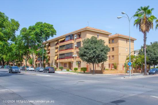  SE VENDE PISO EN AVENIDA CRUZ ROJA - CADIZ 