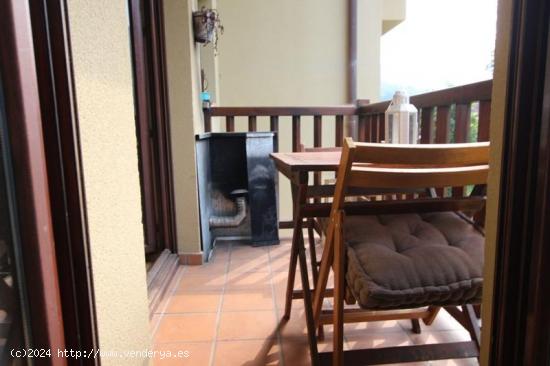 Se Vende en Rionansa - CANTABRIA