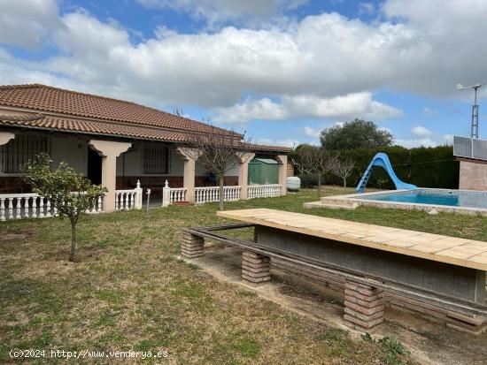 PARCELA RÚSTICA EN ALREDEDORES DE BENALUP - CADIZ