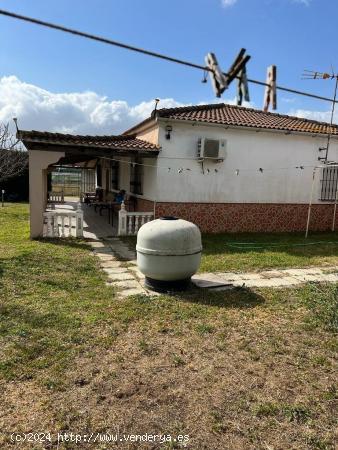 PARCELA RÚSTICA EN ALREDEDORES DE BENALUP - CADIZ