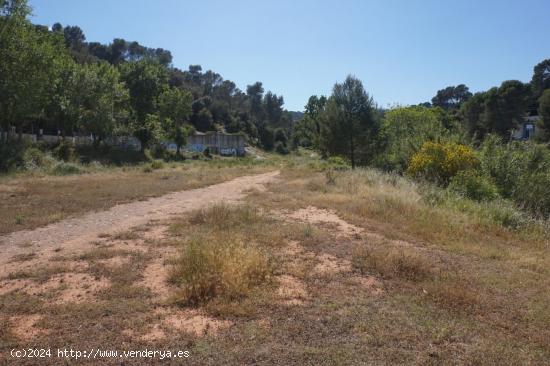 ¡Parcelas en La colonia! - BARCELONA