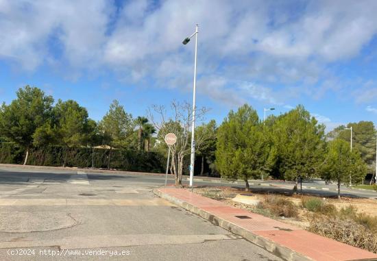 Terreno de 1000m en La Alcayna calle Los acebuches - MURCIA