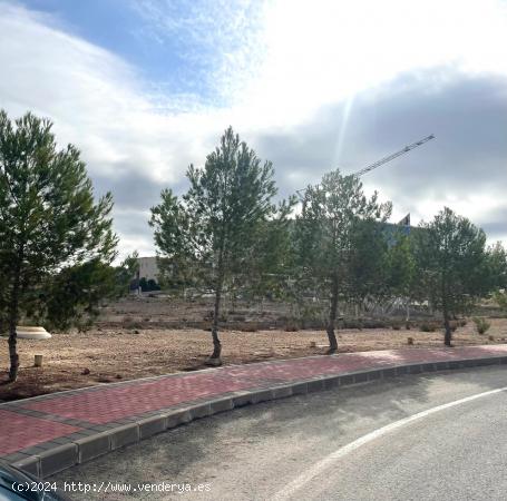 Terreno de 1000m en La Alcayna calle Los acebuches - MURCIA