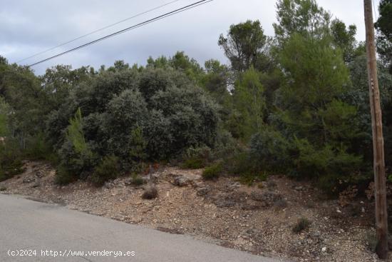  SE VENDE PARCELA EN NUEVA SIERRA - GUADALAJARA 