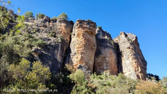 VENTA DE PARCELA - GUADALAJARA