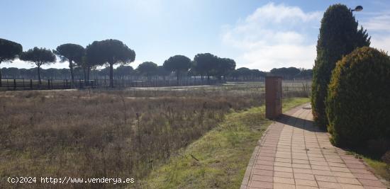 Urbis te ofrece parcelas urbanas en Aldeamayor de San Martín, Valladolid. - VALLADOLID