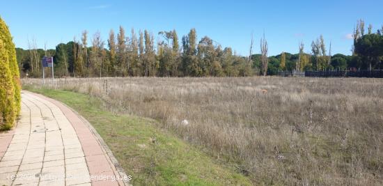 Urbis te ofrece parcelas urbanas en Aldeamayor de San Martín, Valladolid. - VALLADOLID