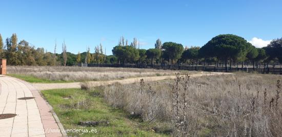 Urbis te ofrece parcelas urbanas en Aldeamayor de San Martín, Valladolid. - VALLADOLID