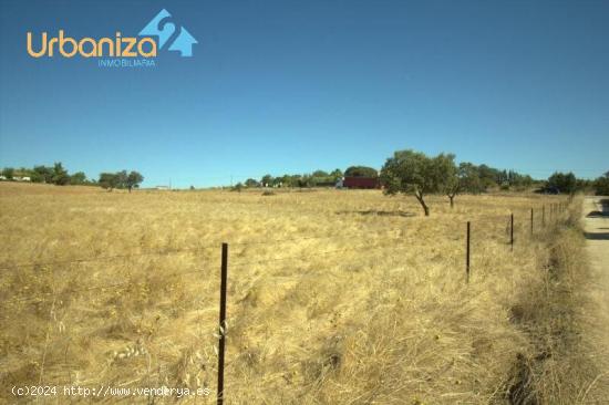 SE VENDE PARCELA RUSTICA DE RECREO. EN ZONA DE CARRION. de 1,5 hectáreas. - BADAJOZ