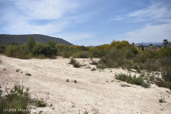 SUELOS EN URBANIZACION PINOMAR - ALICANTE