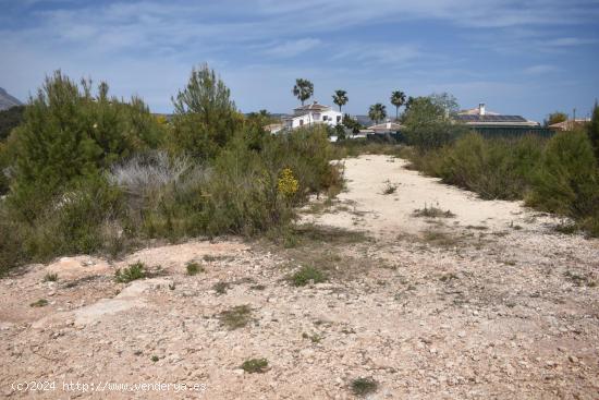 SUELOS EN URBANIZACION PINOMAR - ALICANTE