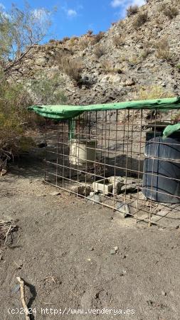 SE VENDE ACCIÓN EN COTO LAS LOMILLAS - ALMERIA