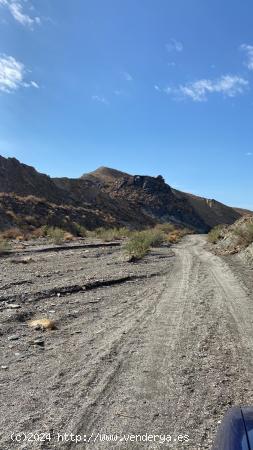 SE VENDE ACCIÓN EN COTO LAS LOMILLAS - ALMERIA