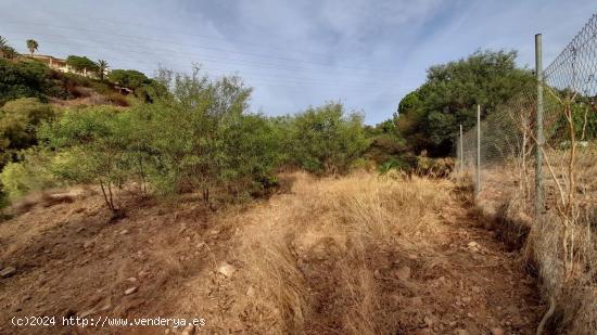 Parcela en Elviria - MALAGA