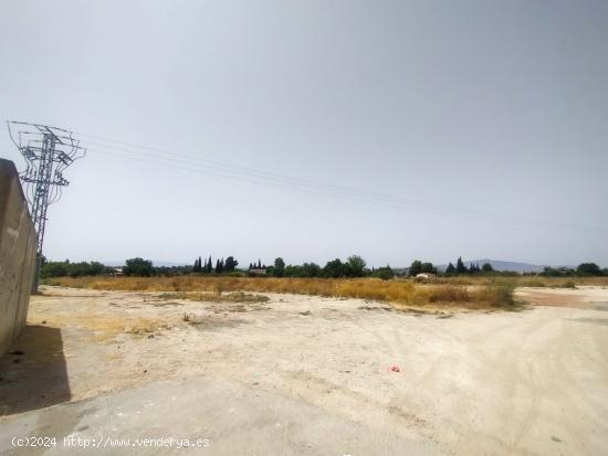 Terreno en la Cruz Roja - MURCIA