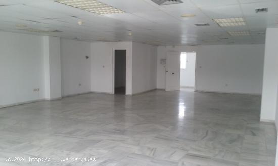 OFICINAS EN ALQUILER EN EDIFICIO HENARES EN SEVILLA ESTE - SEVILLA