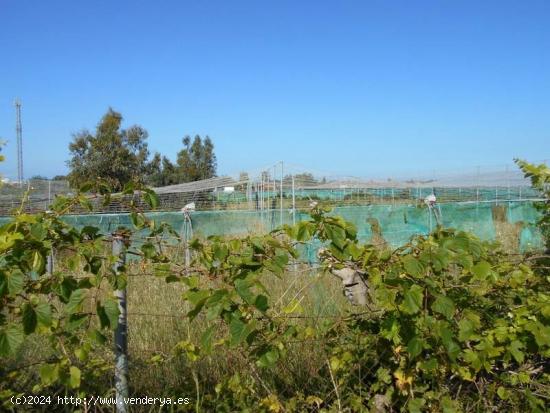  Finca rústica en Ctra de Rota - CADIZ 