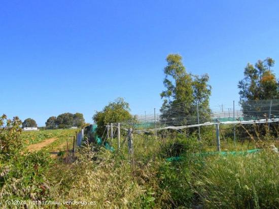 Finca rústica en Ctra de Rota - CADIZ