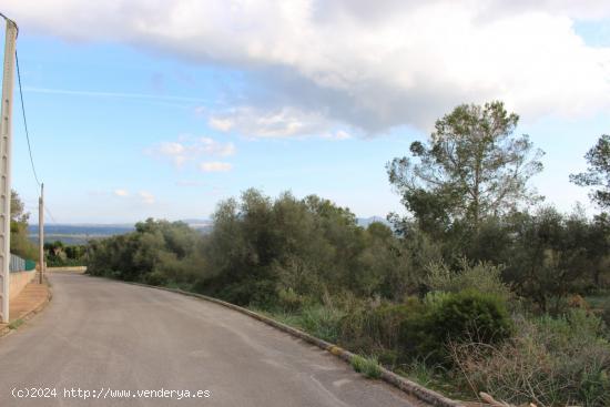 Solar URBANIZABLE en Puntero - BALEARES