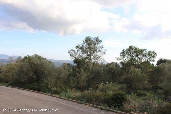 Solar URBANIZABLE en Puntero - BALEARES