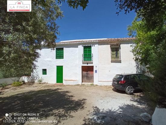  GRAN FINCA CON MUCHA SUPERFICIE DE TERRENO EN LOS MONTES DE MALAGA - MALAGA 