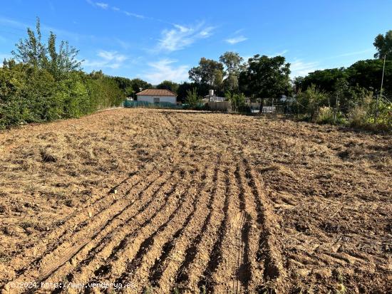  ¡¡PARCELA DE 1.500 M2 TOTALMENTE LLANA EN CUEVAS BAJAS!! - CORDOBA 