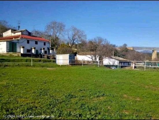 ¡¡IDEAL INVERSORES!! ¡¡FINCA JUNTO A MIRABUENO!! - CORDOBA