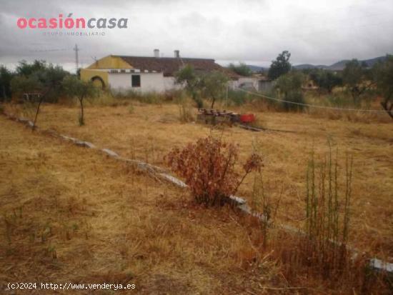 Se Vende en Peñarroya - Pueblonuevo - CORDOBA