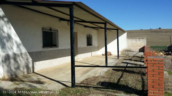 FINCA RÚSTICA ENTRE BELMEZ Y PEÑARROYA-PUEBLONUEVO - CORDOBA