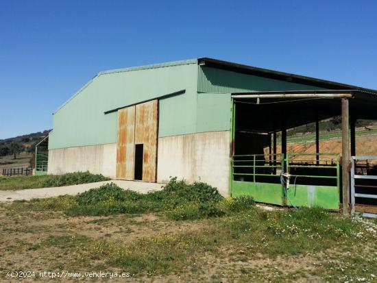 FINCA RÚSTICA DE 14 HA - CORDOBA